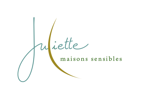 logo_ssfond
