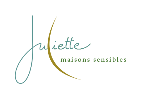 logo_ssfond